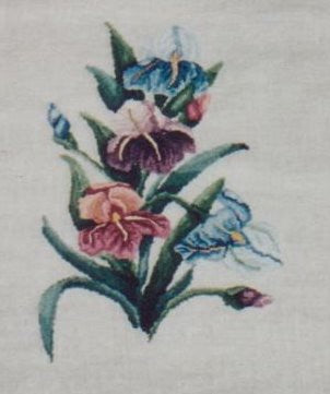 Irises